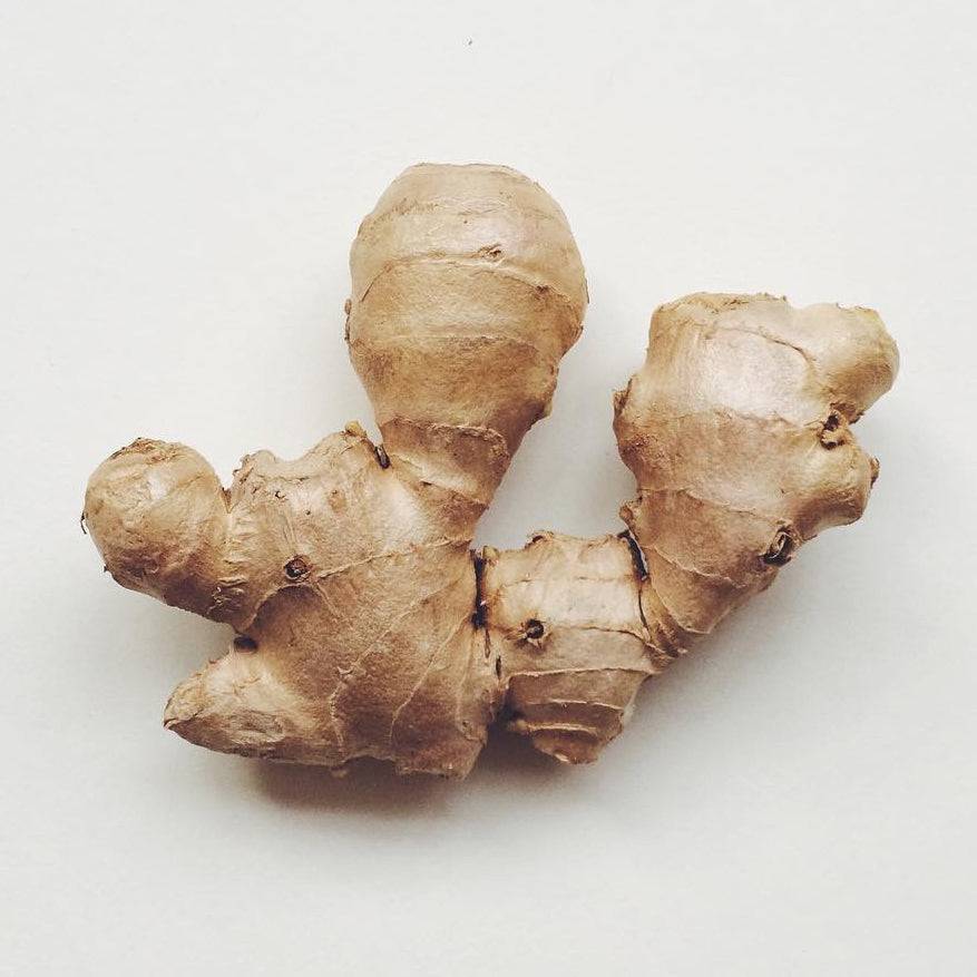 Ginger, rosemary, and botanical oils used in scalp and hair treatment