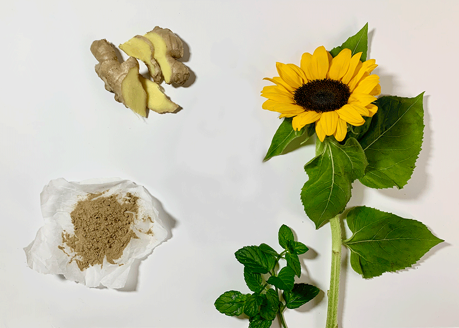 Self Care Series #3 <br> Start the day with Oil Pulling