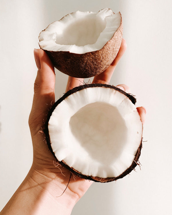Self Care Series #6 <br> Why Coconut Oil is the King of Oils