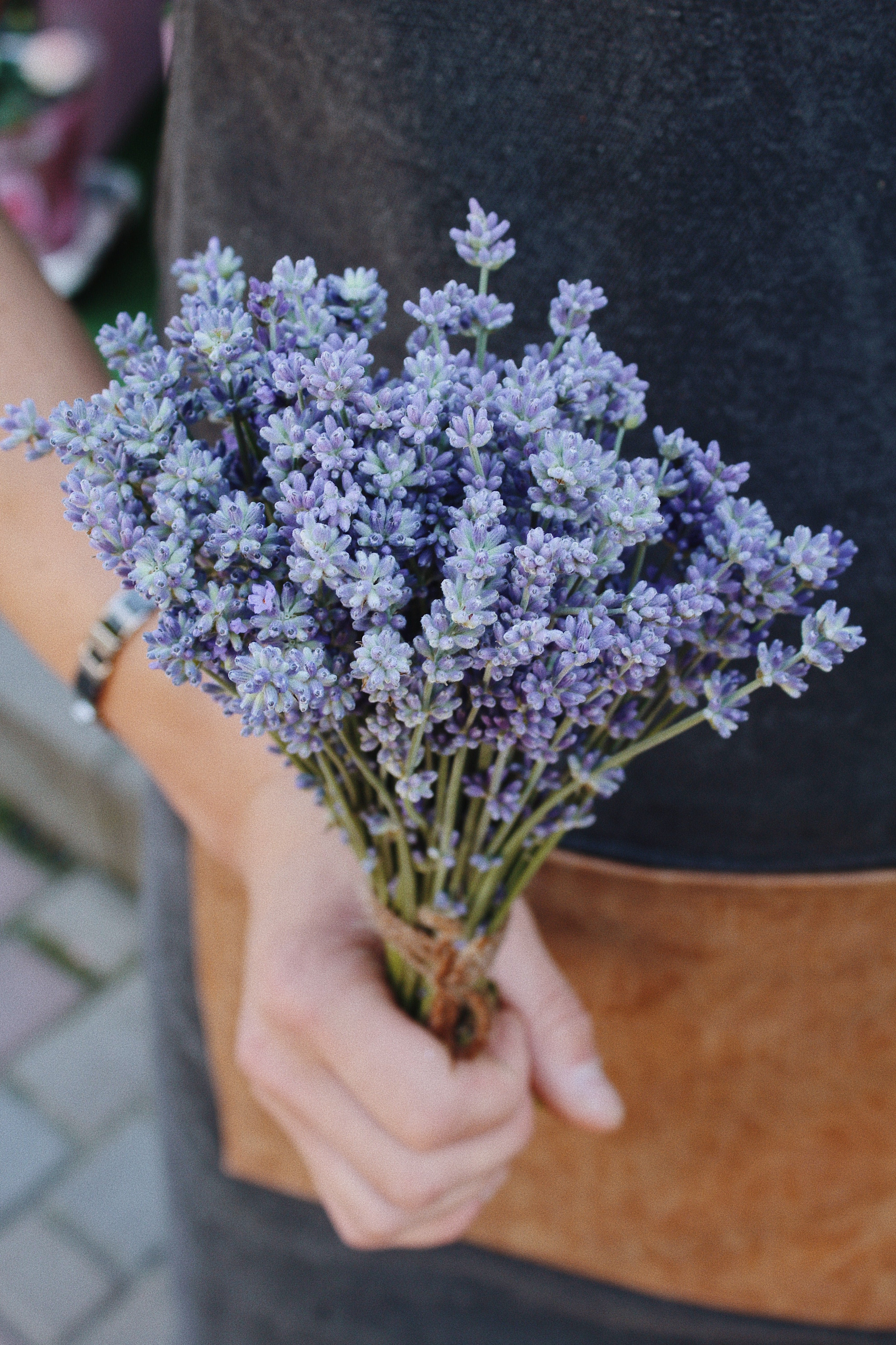 Herbology: Lavender - GingerChi