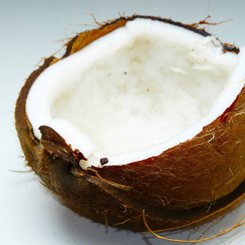 Coconut