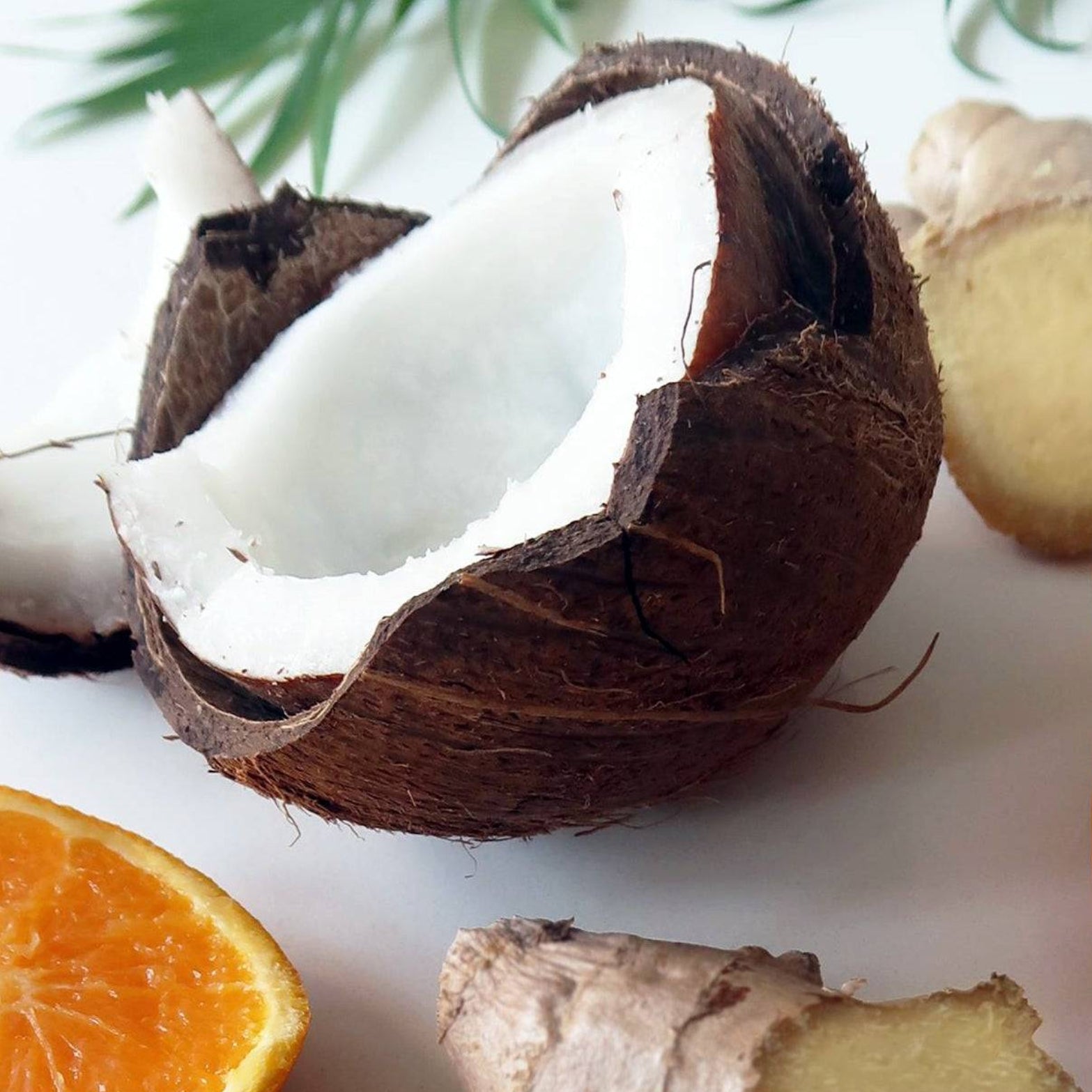 Coconut
