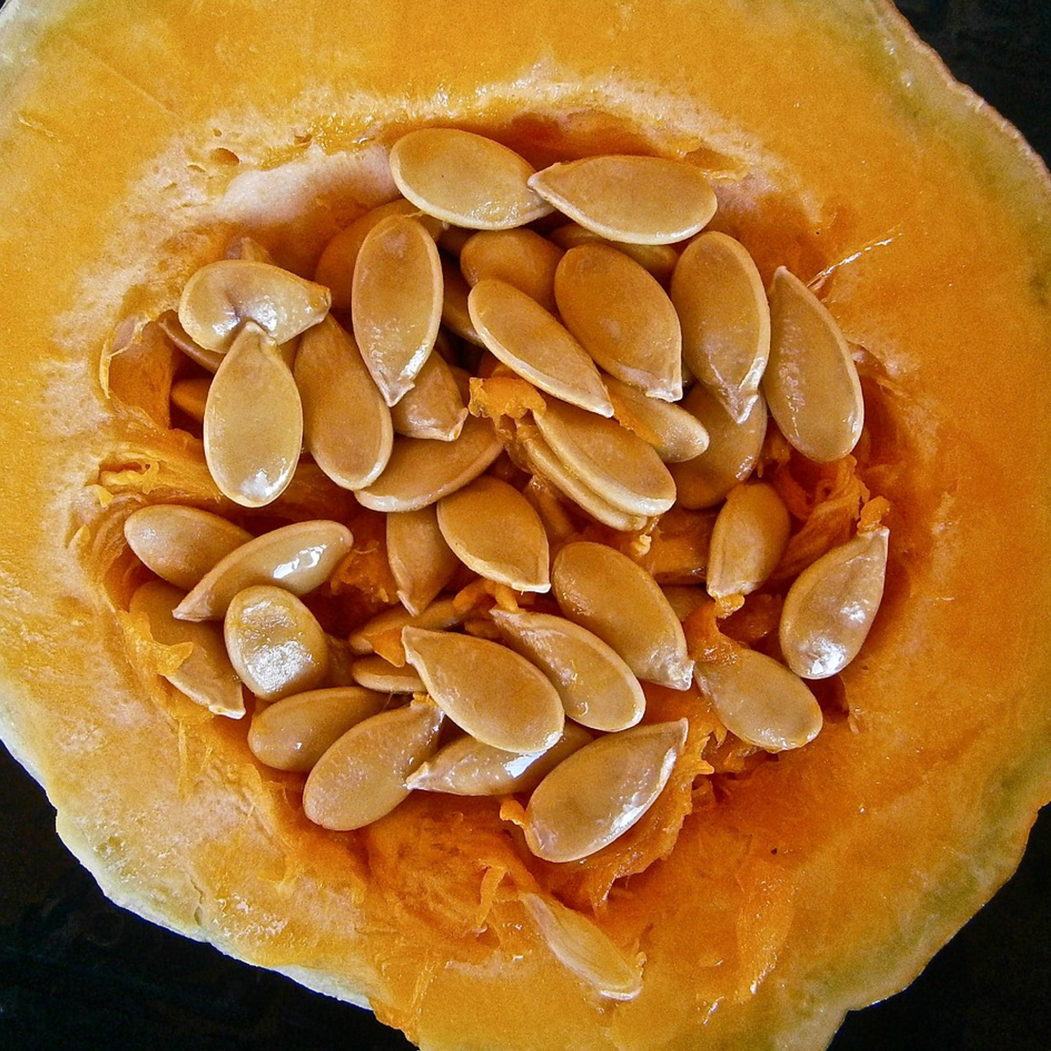 Close-up of pumpkin seed 