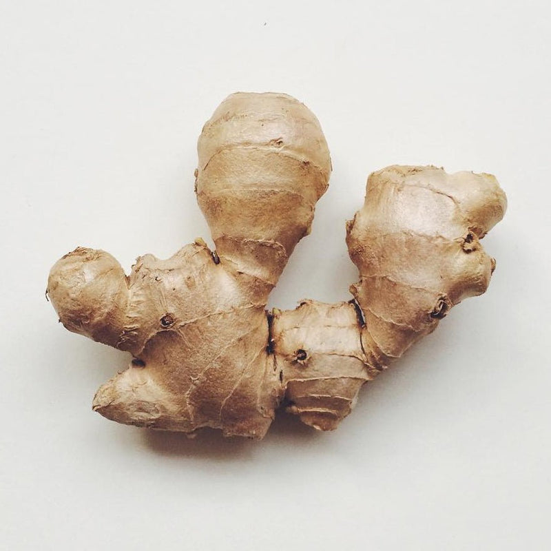 Tummy Massage Oil - GingerChi